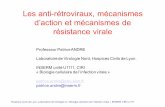 Les anti-rétroviraux, mécanismes d’action et mécanismes de ... · Hospices Civils de Lyon, Laboratoire de Virologie et « Biologie cellulaire de l’infection virale » INSERM