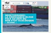 MEDItERRaNEE: La CRoISSaNCE BLEUE FaCE aU …...4 5Méditerranée: La croissance bleue face au défi du bon état écologique 1. Resume executif > Dès 2007, la Commission Européenne