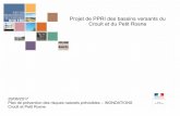 Projet de PPRI des bassins versants du Croult et du Petit ...webissimo.developpement-durable.gouv.fr/IMG/pdf/4... · Calendrier prévisionnel exposé en CDRNM le 16/12/2016 juillet