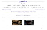 DIPLOME NATIONAL DU BREVET - Académie de Versaillesblog.ac-versailles.fr/cezannetechno/public/BREVET... · Epreuve de Technologie (30 min – 25 points) Thème : Design, Innovation