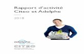 Rapport d’activité Citeo et Adelphe...L’exercice 2018 a été caractérisé par : I. Développer les services aux entreprises 1. La simplification de la déclaration Lancement