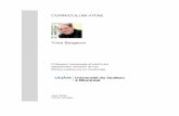 CURRICULUM VITAE · Curriculum Vitae Yves Bergeron 3 EXPERIENCES DE TRAVAIL 1988-1991 Conservateur des collections ethnographiques à Parcs Canada, Québec, service de gestion des