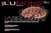 La bio- Luminescencehosting.umons.ac.be/php/aipu2014/C9TEST/wordpress-4... · La bio-Luminescence de certains animaux marins mieux comprise p 06-07 p 12 et suivantes Numéro spécial
