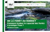 DE LA FORÊT AU ROBINET · 2020-02-10 · WWF Le WWF est l’une des toutes premières organisations indépendantes de protection de l’environnement dans le monde. Avec un réseau