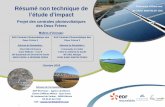 Résumé non technique de Collectivité d’Outre-mer de SAINT … · 2019-02-28 · Le groupement JC MONT-FORT / AJM Energy porte le projet Est de la centrale photovoltaïque des