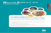 wallonie santé n3sante.wallonie.be/sites/default/files/brochure... · Jean-Louis Carpentier - SPW Enquêtes Brabant wallon : Fabian Brasseur, Viviane Demortier, François Jacobs,
