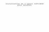 saposcol Note 19227 - Freeyoann.lebard.free.fr/SAP/Solman/Install Agent sapccms… · Web viewLancez la RZ20, puis sélectionnez « SAP CCMS Technical Expert Monitors » puis double