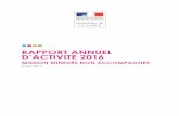 RAPPORT ANNUEL D’ACTIVITE 2016 - Ministry of …Rapport annuel d’activité 2016 3 La France, de même que la majorité des Etats membres de l'Union, a accueilli cette année plusieurs