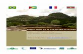 REDD+ POUR LE PLATEAU DES GUYANES · PDF file 2015-10-15 · Le projet REDD + pour le Plateau de Guyanes a été lancé par le Guyana, le Suriname et la France, à l'occasion de la