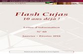 Flash Cujasbiu-cujas.univ-paris1.fr/sites/default/files/documents/flash60.pdf · Bibliothèque numérique Flash n° 60 – janvier-février 2016 6 Sciences de l’information Guide