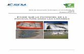 ÉTUDE SUR LE POTENTIEL DE LA PISCICULTURE DANS LES … · 2017-09-11 · CRFM, 2014. Étude sur le potentiel de la pisciculture dans les Caraïbes Document technique et consultatif