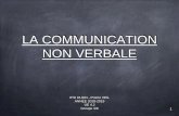 LA COMMUNICATION NON VERBALE - IFSI DIJON€¦ · - La communication non verbale comprend les cinq sens hormis la parole et l’écrit80% Source : espacesoignant.com 4 « C’estle