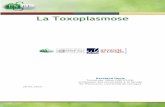 La Toxoplasmose - CRIANNunt-ori2.crihan.fr/unspf/Concours/2012_Limoges_Barataud...La prévalence de la toxoplasmose en France est de 40% à 50% de séropositifs. Aujourd'hui il y a
