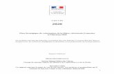 Vin sur vin 2020 - Vie publique · 2019-06-12 · 1 VIN/VIN 2020 Plan Stratégique de valorisation de la filière vitivinicole Française à l’Horizon 2020 Sur la filière vitivinicole