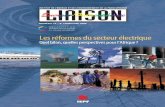 Les réformes du secteur électrique - IFDD · 2008-11-22 · en développement, ceux de l’Afrique en particulier, étaient et sont encore au cœur de l’analyse. La première