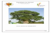 République du Sénégal - Green Economy · politique et la solidité des institutions, la viabilité du cadre macroéconomique et budgétaire, le potentiel démographique avec la