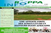 UNE ATTENTE FORTE DES AGRICULTEURS ET - Ropparoppa-afrique.org/IMG/pdf/roppa_info_01_1_.pdf · du foncier à l’échelle des communautés locales parce que la plupart des politiques
