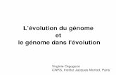 L’évolution du génome et nome dans l'évolutionvorgogoz/courses/15-02-genome-evolution.pdf · L’évolution du génome et le génome dans l'évolution Virginie Orgogozo CNRS,