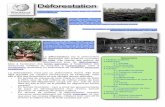 Déforestationpm22100.net/01_PDF_THEMES/wiki/DEFORESTATION.pdf · 4 Causes 4.1 Activités humaines 4.2 Facteurs naturels 5 Conséquences 5.1 Sols 5.2 Biodiversité 5.3 Déforestation