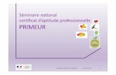 Séminaire national certificat d’aptitude professionnelle PRIMEUR - Métiers de l ... · 2018-06-08 · rayons fruits et légumes des grandes, moyennes et petites surfaces; magasins