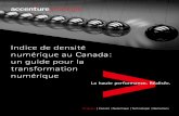 Indice de densité numérique au Canada: un guide pour la ... · Fig.1 Profil de la densité numérique au Canada La densité numérique comporte quatre composantes évaluées sur