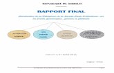 RAPPORT FINAL - TreatyBody Internet · du Pacte International relatif aux droits économiques, sociaux et culturels, les Associations djiboutiennes regroupées sous le nom «Plateforme