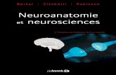 Barker I Cicchetti I Robinson I Robinson Neuroanatomie I ... · PDF file 1 Développement du système nerveux 2 2 Organisation du système nerveux 4 3 Système nerveux autonome 6 4