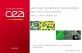 BIOLOGIE, PROCÉDÉS ET TECHNOLOGIES DES MICRO …cadarache.cea.fr/cad/Documents/Entreprises/Valorisation... · 2016-12-15 · Intérêt des microalgues 15 JANVIER 2014 Des photobioréacteurs