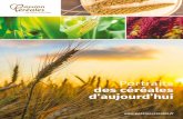 Portraits des céréales d’aujourd’hui - | Keepeek · PDF file 2018-07-13 · Portraits des céréales d’aujourd’hui . Sommaire Le blé Le blé tendre Le blé dur Le maïs