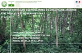 PLANTES EXOTIQUES ENVAHISSANTES DE ...cbnbp.mnhn.fr/cbnbp/ressources/telechargements/3_pee...Plantes indigènes = cortège « originel » de la flore de la Champagne-Ardenne, dans