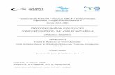 Gene GreenTK - Centrale Marseille · Année 2015-2016 Décontamination externe des organophosphorés par voie enzymatique 04/04/2016-16/09/2016 Gene&GreenTK Faculté de Médecine