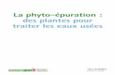 La phyto-épuration : des plantes pour traiter les eaux usées€¦ · La Zone libellule est une solution complémentaire de traitement des eaux usées, basée sur la capacité épuratoire