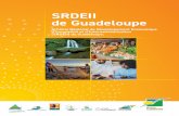 SRDEII de Guadeloupe · politique de référence pour la région Guadeloupe en matière d’enseignement supérieur, recherche et innovation pour la période 2016-2021. Compte tenu