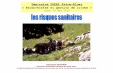Séminaire DREAL Rhône-Alpes « Biodiversité et gestion de ... ... introduction • Prise de conscience du rôle de la faune sauvage dans le fonctionnement de la santé très récent,