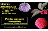 Plantes sauvages · © Gilles Ayotte 2012 (Compétence UL/FSAA/Phytologie 2000)
