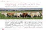 Production de viande bovine sur les surfaces d'assolement€¦ · supérieur à celui du mélange à base de ray-grass anglais (Mosimann et al. 2010). Sur l’ensemble des trois années,
