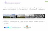 Evaluation de la production agricole primaire professionnelle en … · 2018-11-20 · 1 Visser Marjolein Evaluation de la production agricole primaire professionnelle en Région