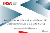 Systèmes Distribués et Big Data (SDBD) · Contenu (résumé) Enseignements UF Analyse descriptive et prédictive • MJ. Huguet – MV. Le Lann – M. Siala UF Infrastructures pour