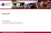 Грузия - Food and Agriculture Organization...Африканская лихорадка ЧМЖ Конго-крымская геморрагическая лихорадка Проекты