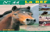 N° 44 La REF - FFE · 2020-05-15 · Pack Promotion Club 25 €* ... Photo : FFE/DL La France accueille la FEI. 6 La Revue de l’Equitation - REF n° 44 - Avril 2004 ... Contact