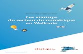 Les startups du secteur du numérique en Wallonie · des dossiers de candidatures introduits auprès du Fonds W.IN.G by Digital Wallonia. Plusieurs éléments peuvent expliquer cette