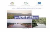 STRATEGIE ET PLAN D’ACTIONextwprlegs1.fao.org/docs/pdf/gui149198.pdf · conakry, octobre 2008 strategie et plan d’action. 2 autoevaluation nationale des capacites a renforcer