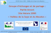 Partie Amont Site Natura 2000 « Vallées de la Saye et du ... · DOCOB Natura 2000 « Vallées de la Saye et du Meudon » Maître d’ouvrage : Syndicat Intercommunal d’Aménagement