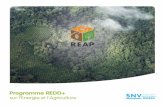 REAP Brochure French 165x165mm 4 Fold AW - SNV...dans des paysages en Afrique de l’ouest et centrale La SNV se base sur la chaine de valeur du bois combustible dans des paysages