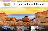 n°81 I I I N MAGAZINE - Torah-Box.com · 2019-06-11 · 10 Magazine I n°81 MAGAZINE VOTRE PUBLICITÉ SUR 10.000 exemplaires distribués en France Dans plus de 400 lieux communautaires