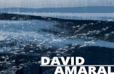 David Amaral Portfolio Personnel 2019 · AMARAL. BIO Né en Suisse en 1988, vit et travaille à Lausanne. Après avoir obtenu son ... Suisse, 2016 Projet du Jubilé Volume II, Fondation