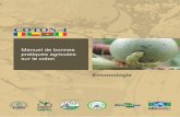 Entreprise Brésilienne de Recherche Agricole€¦ · Rua Mohamed V, BP 258, Bamako Tél. :(223) 2022-2606/(223) 2022-3775 Institut Tchadien de Recherche Agronomique pour le Developpement