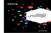 PAC Tetris CouvImpo · 2018-11-30 · 4 PROJET ARTISTIQUE ET CULTUREL 3. LE TETRIS 3.1 UN LIEU ENTRE CULTURE ET ÉCONOMIE SOCIALE ET SOLIDAIRE 33 3.1.1. LE TETRIS : UN ESPRIT DE CO-CONSTRUCTION