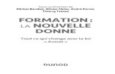 Sous la direction de Michel Barabel, Olivier Meier, Andr£© ... FORMATION : LA NOUVELLE DONNE VI Tiphaine