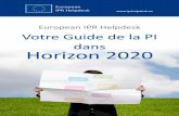 European IPR Helpdesk Votre Guide de la PI dans Horizon 2020 · Horizon 2020 est à ce jour, le plus important Programme-Cadre de l’Union européenne (UE) en matière de Recherche